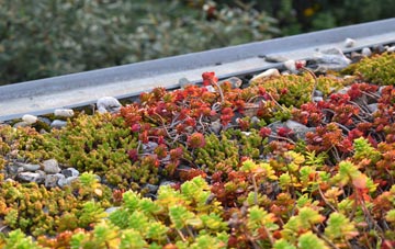 the cost of Wethersfield green roof installation