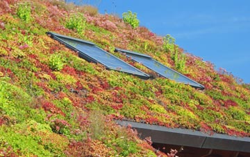 Wethersfield living roof systems