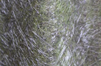 Wethersfield fibreglass roof work